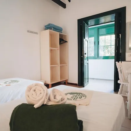 Cactus Coliving Vendégház *