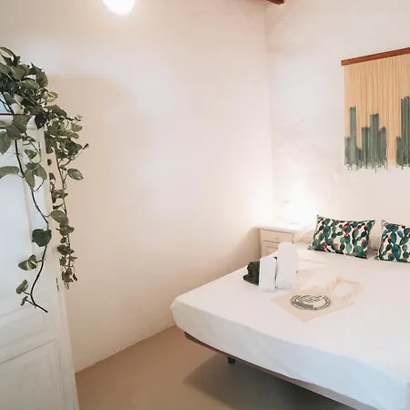 Cactus Coliving *