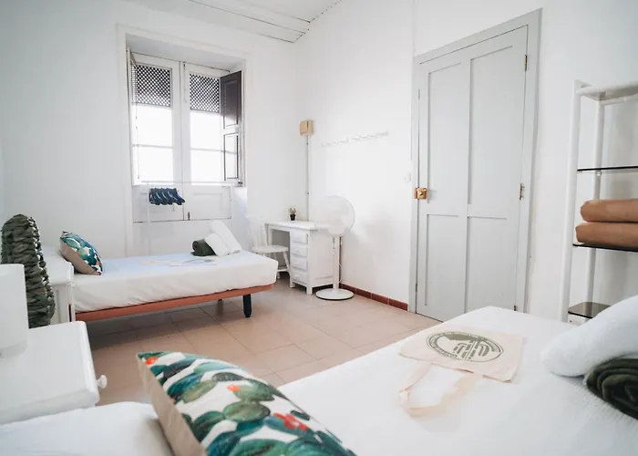 Cactus Coliving * San Sebastián de la Gomera