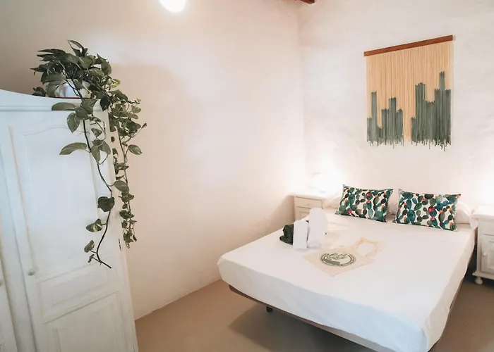 Cactus Coliving *