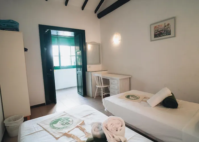 Cactus Coliving