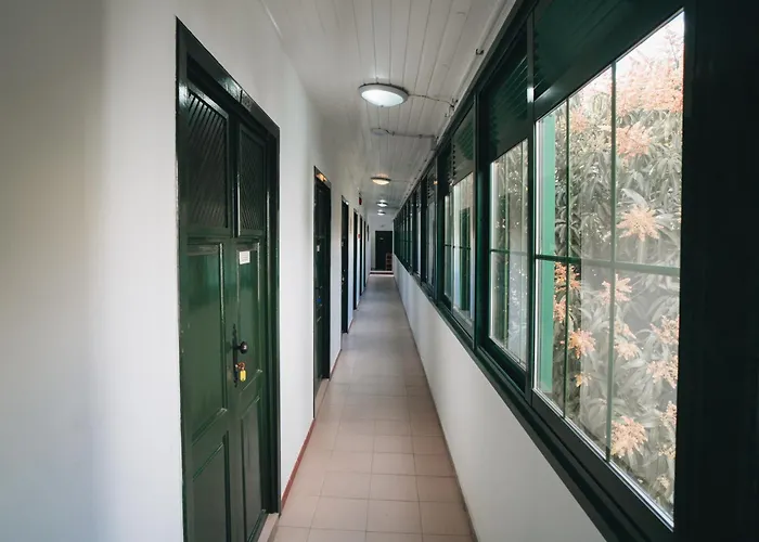 Гостевой дом Cactus Coliving